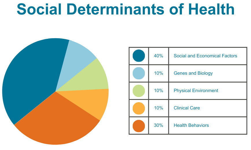 Social-Determinants-of-Health-(SDOH)-graph